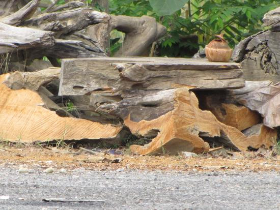 Tree Top Adventure Park Kanchanaburi-柿约必去景点