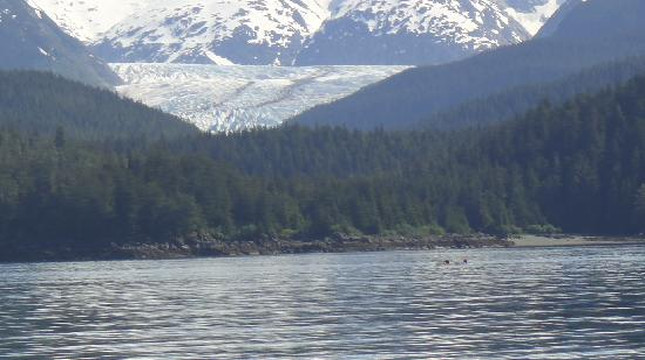 Allen Marine Tours-朱诺必去景点