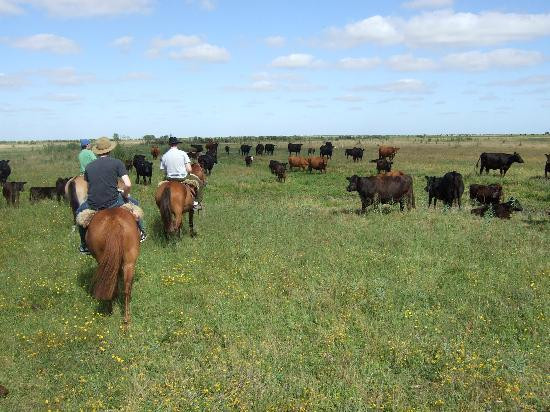 Santa Maura-查斯科木斯必去景点