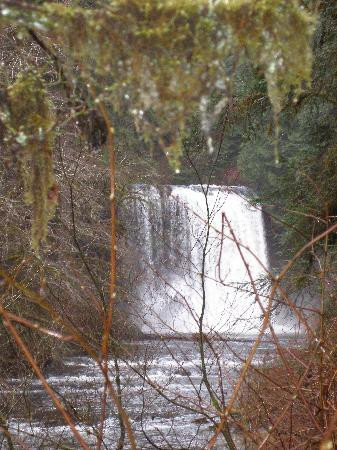 Silver Falls State Park-Drake Crossing必去景点