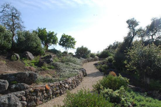 Paradise Ridge Winery景点图片