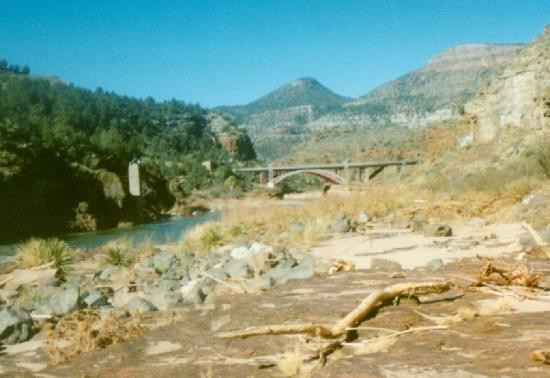 Wilderness Aware Rafting-布埃纳维斯塔必去景点