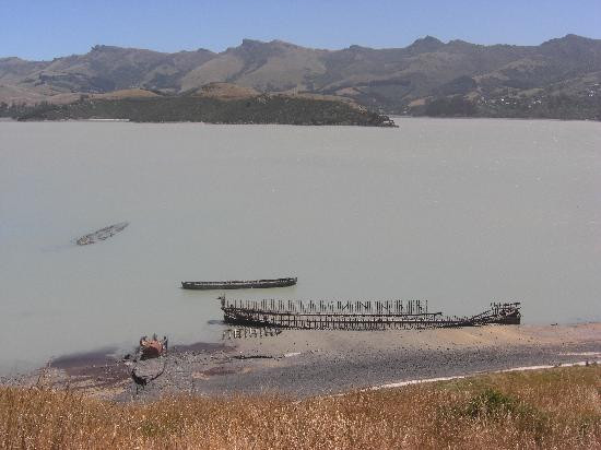 鹌鹑岛-基督城必去景点