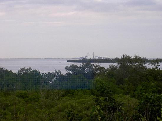 Emerson Point Preserve-Palmetto必去景点