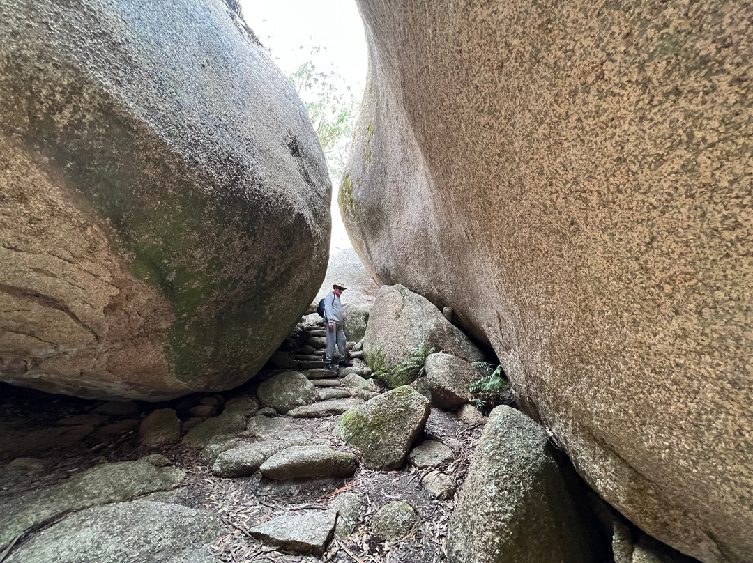 Bald Rock National Park景点图片