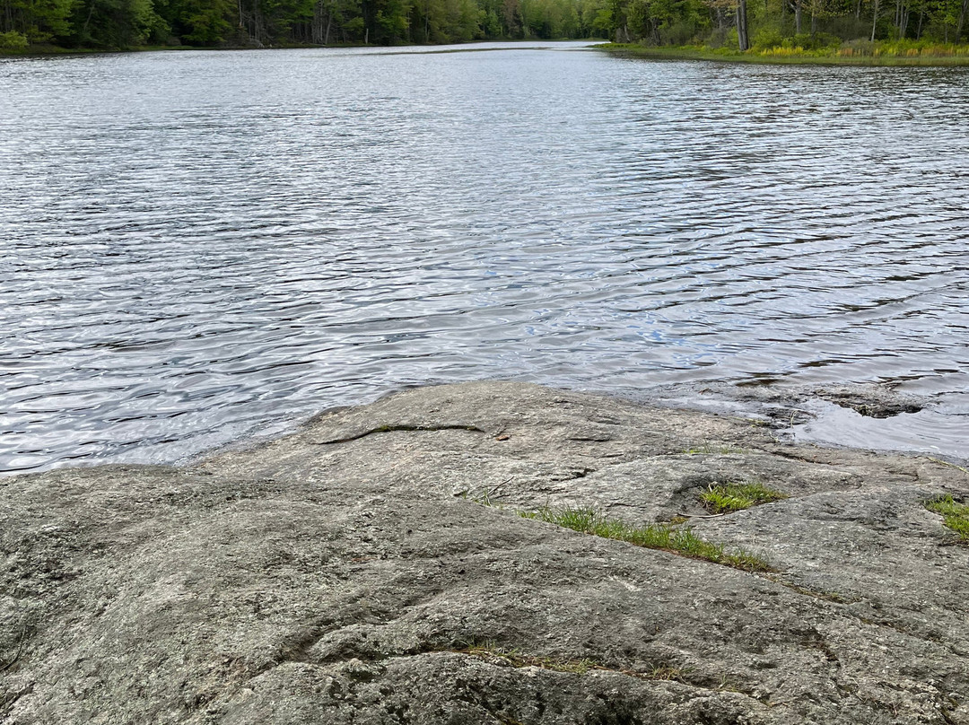 Runaround Pond Recreation Area-Durham必去景点