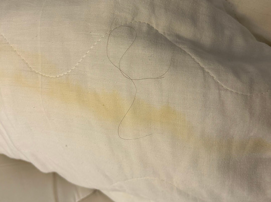 Best Western Plus Strawberry Inn & Suites主图