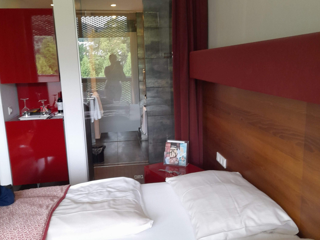 Asia Hotel & Spa Leoben主图