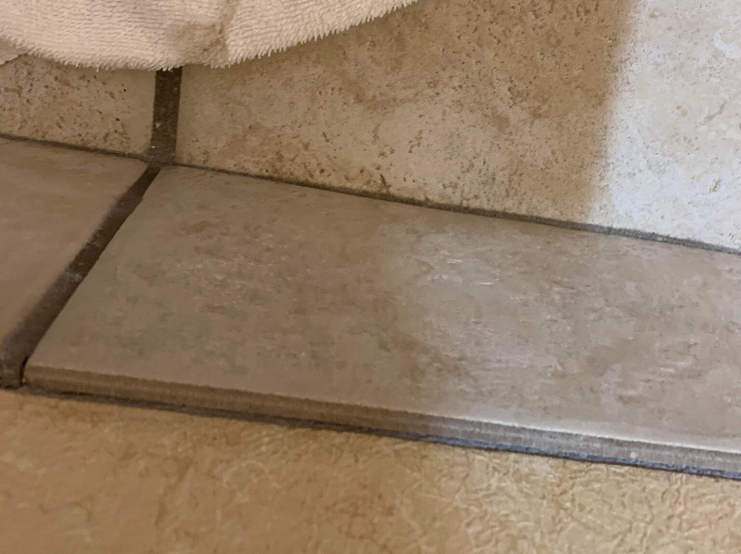 Quality Inn & Suites主图