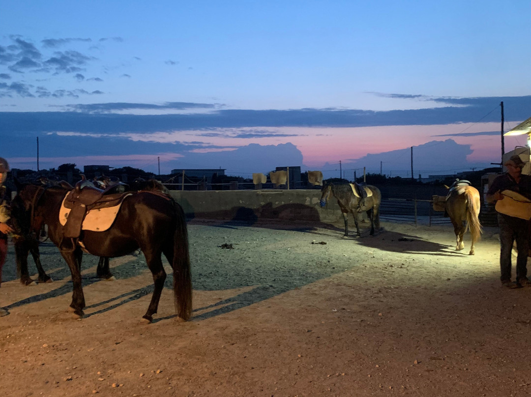 Kokou Horse Riding Center-纳乌萨必去景点