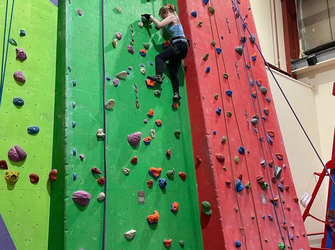 The Pinnacle Climbing Centre景点图片