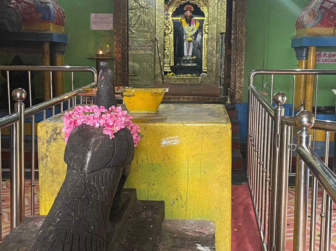 Elk Hill Murugan Temple-乌提必去景点