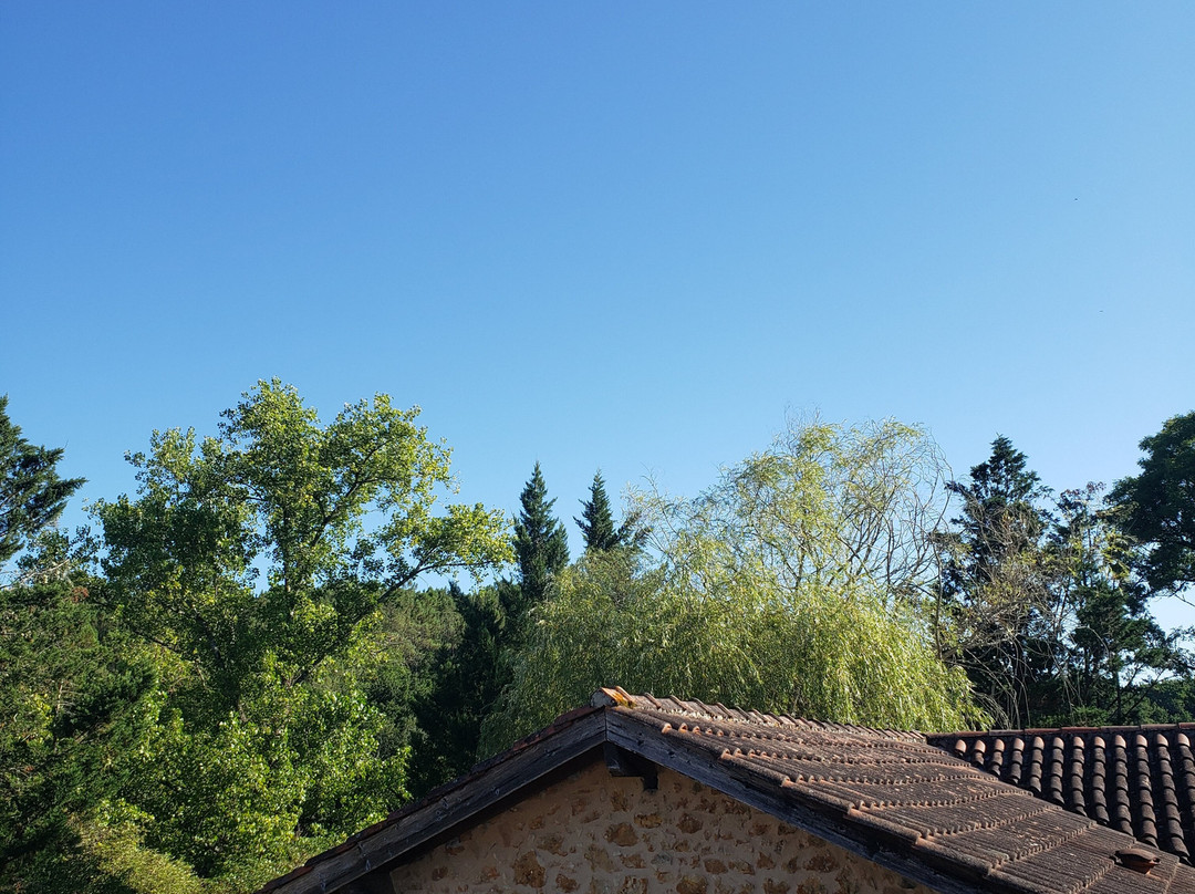 Ô Délices De La Monnerie主图