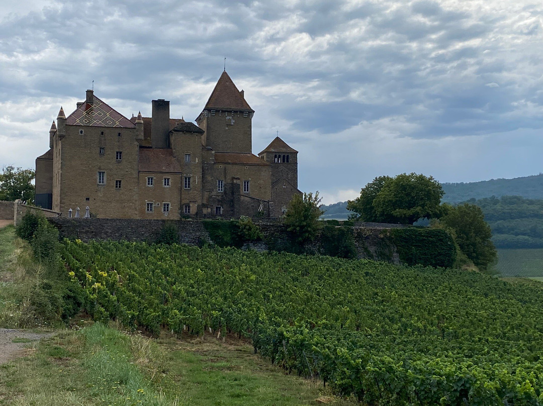 Château historique de Pierreclos景点图片