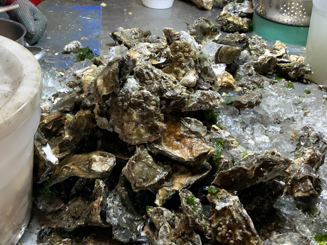 Qualman Oysters Farms-库斯贝必去景点