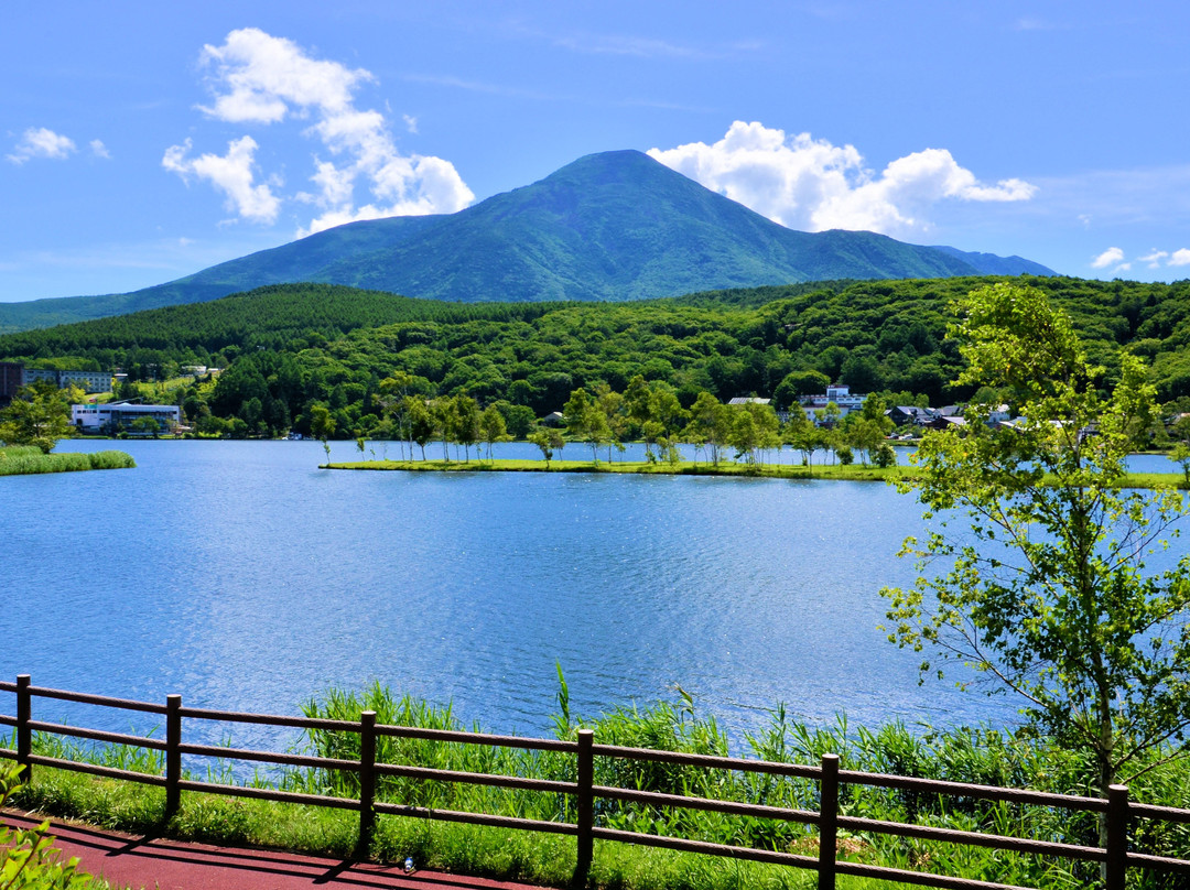 Lake Shirakaba景点图片