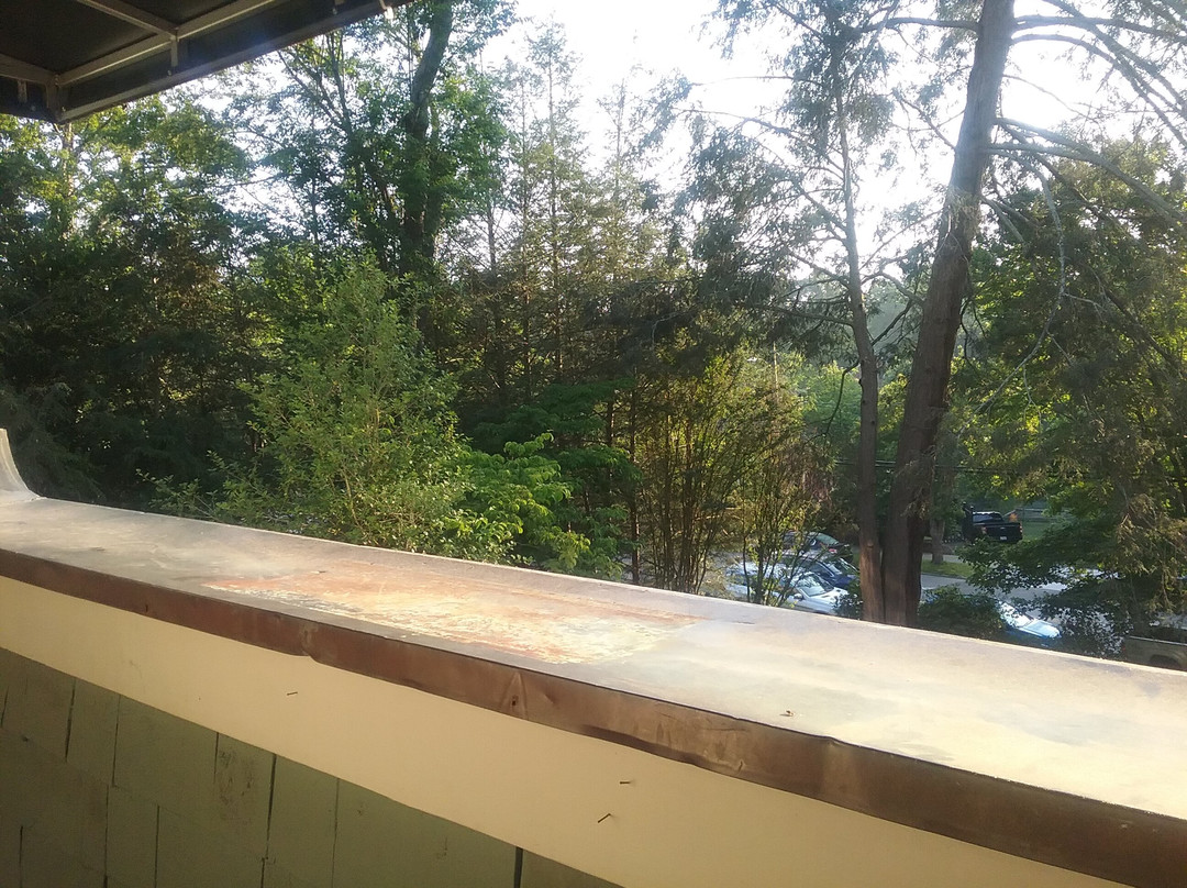 Black Walnut Bed & Breakfast Inn主图