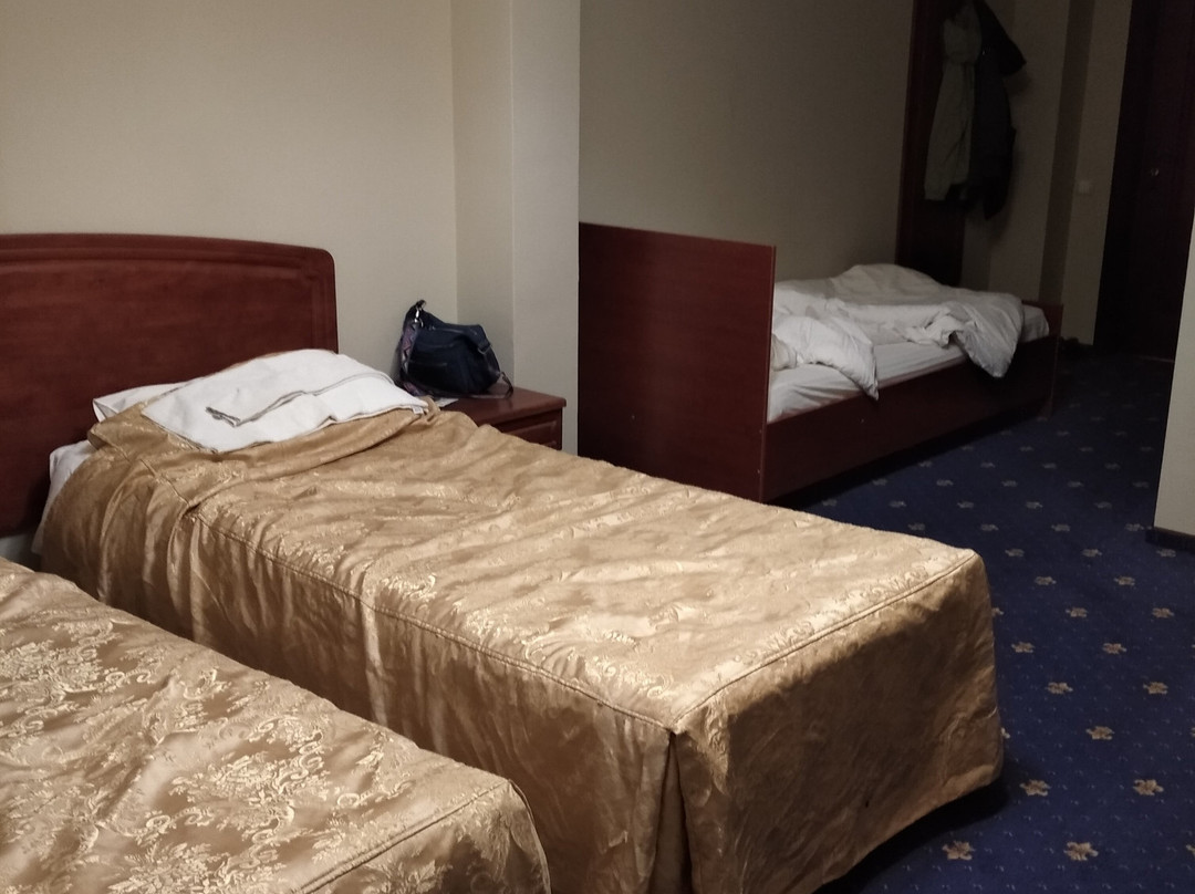 Tosno Hotel主图