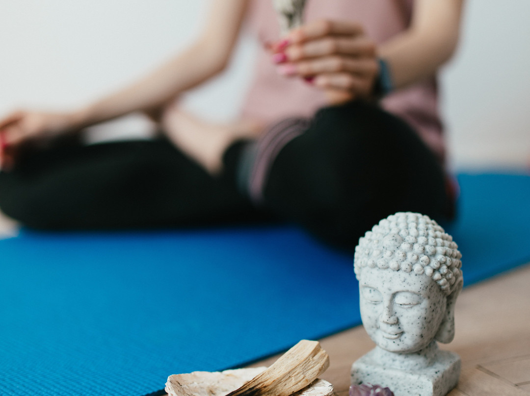 Pixie Dust-萨拉索塔必去景点