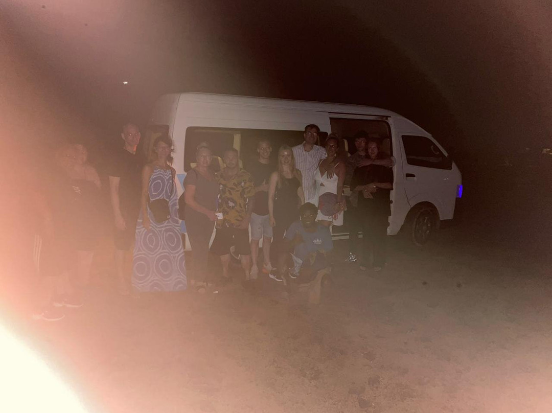 Sealife Experience Turtle Watching-圣塔玛丽亚必去景点