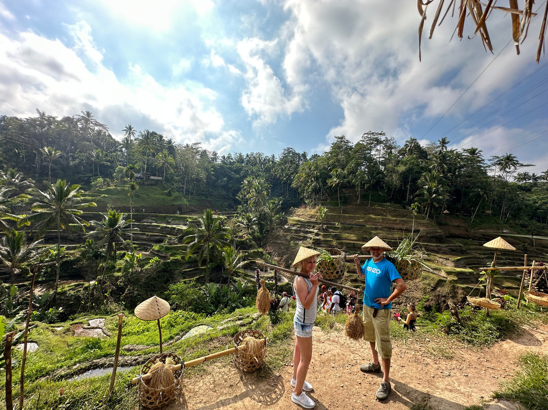 Bali Ubud Private Tours-乌布必去景点