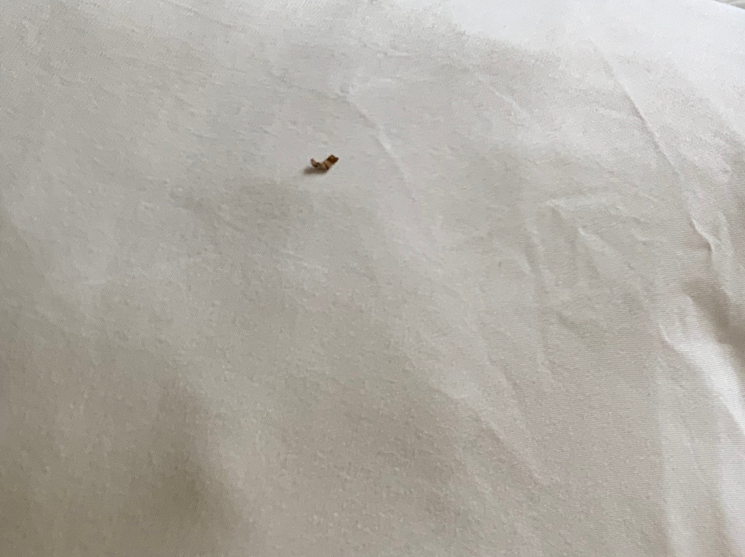 Comfort Inn & Suites Monggomery主图