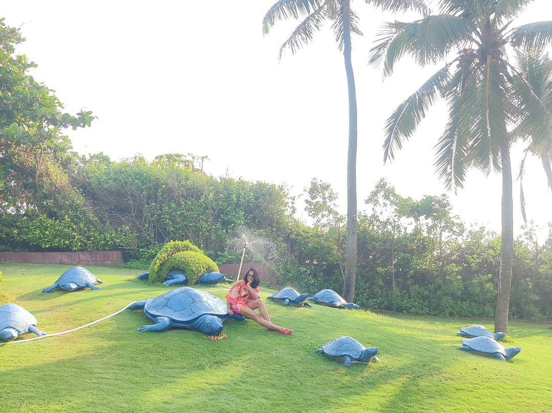 Mayfair Palm Beach Resort主图