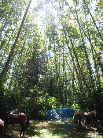 Redwood Creek Buckarettes-Orick必去景点