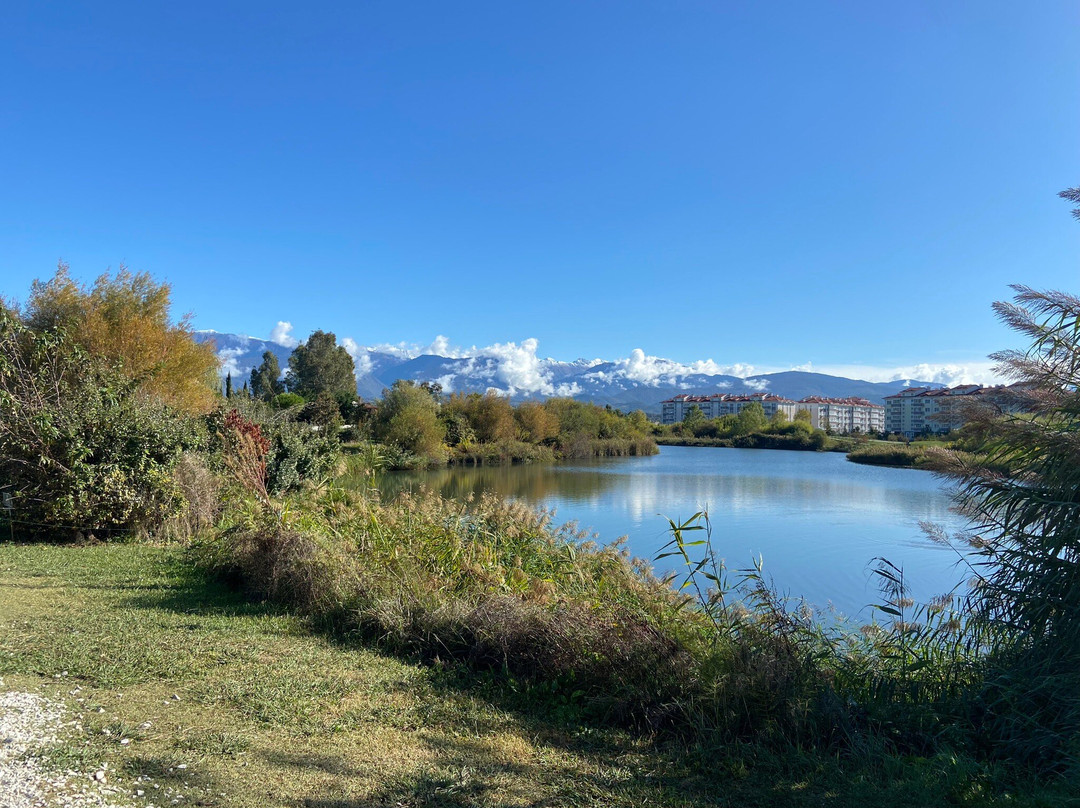 Natural Ornithological Park in the  Imereti Lowland-索契必去景点