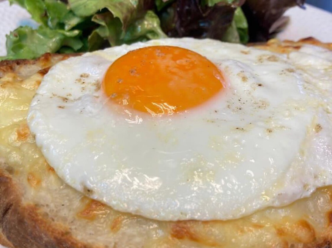 Stellenbosch Town Hall-斯泰伦博斯必去景点