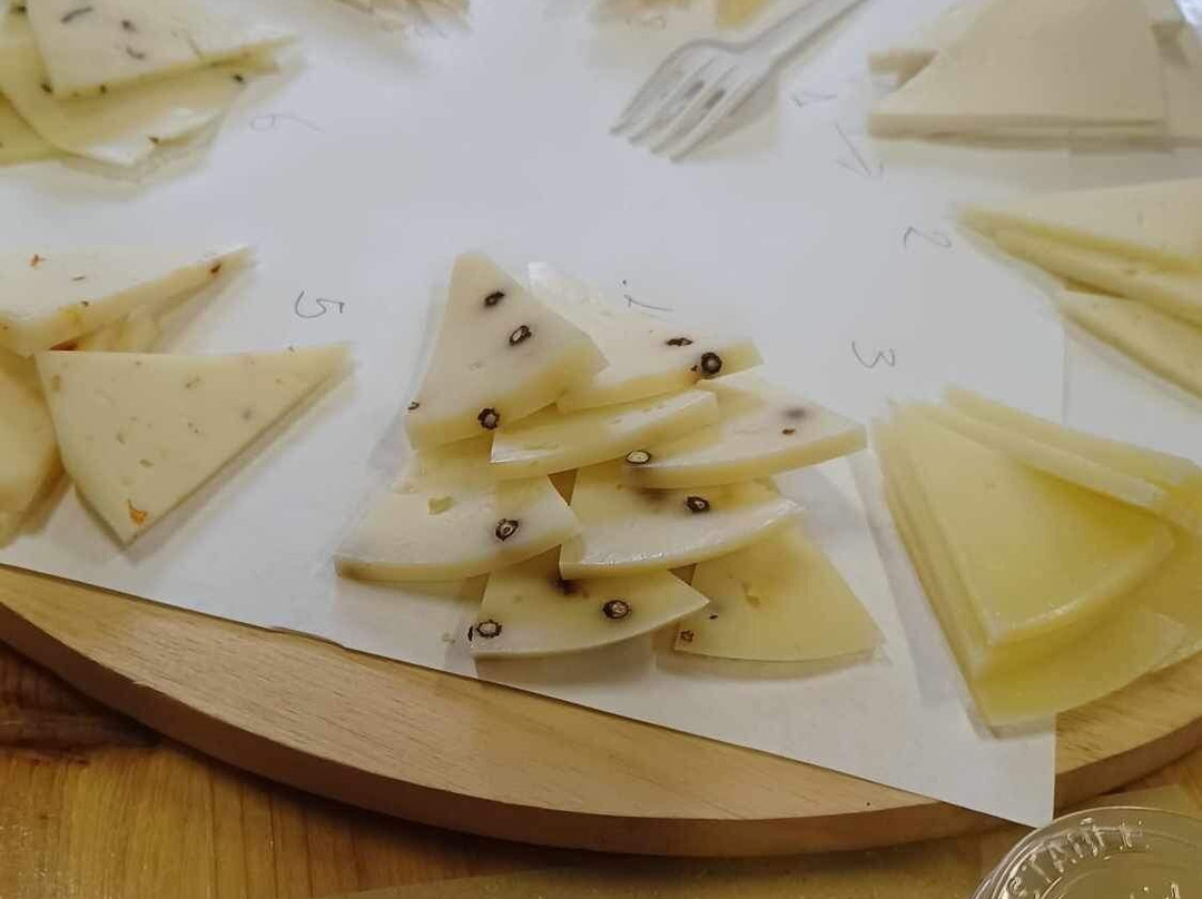 Fattoria Pianporcino-皮恩扎必去景点