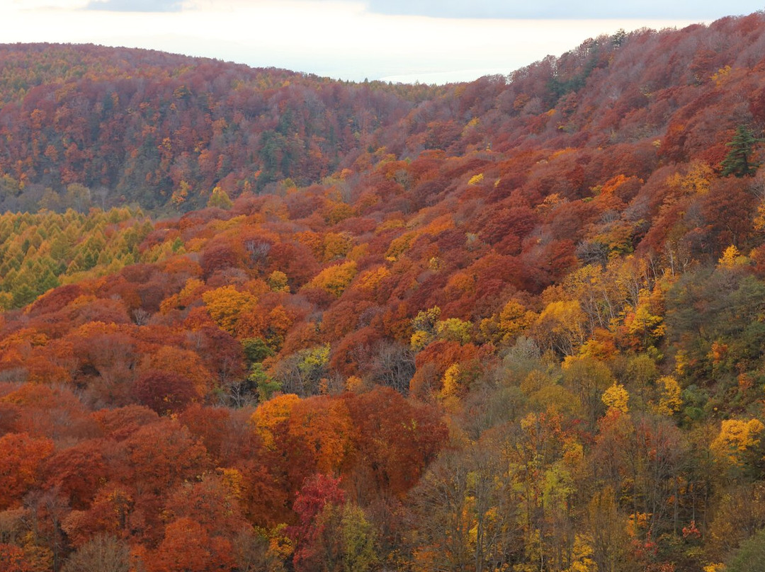 城仓大桥-青森市必去景点