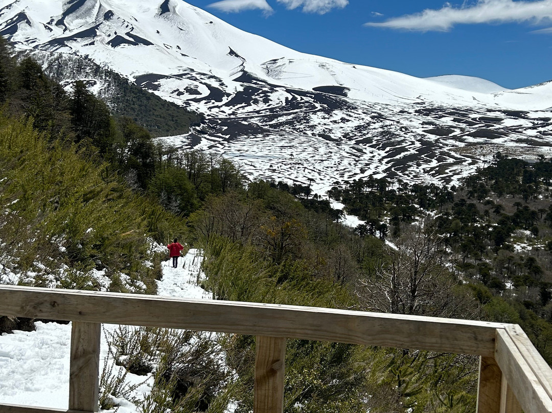 Amity Tours-普孔必去景点