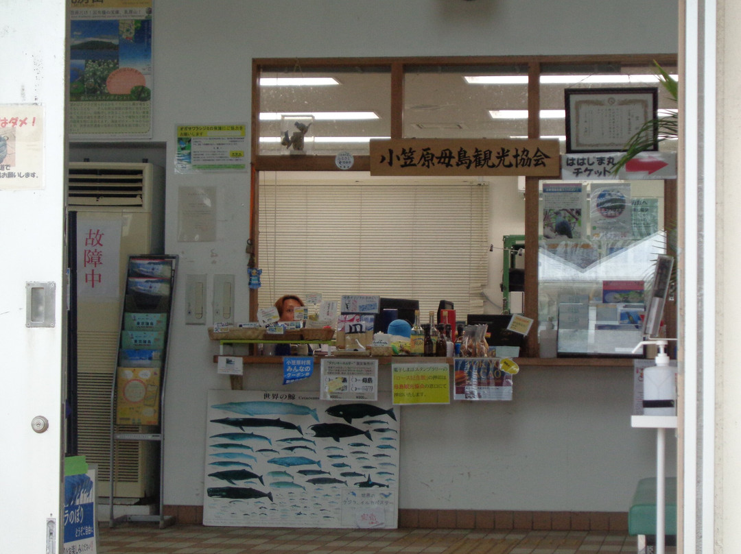 Ogasawarahahajima Tourism Association-Haha-jima必去景点