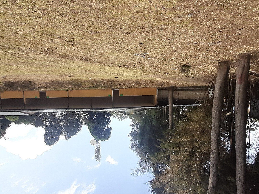 Menagesha Suba Forest Park景点图片