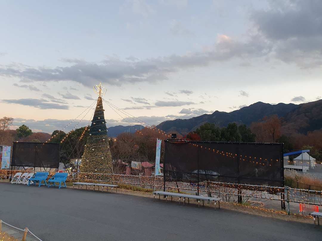 Sagami Lake Resort Pleasure Forest-相模原市必去景点