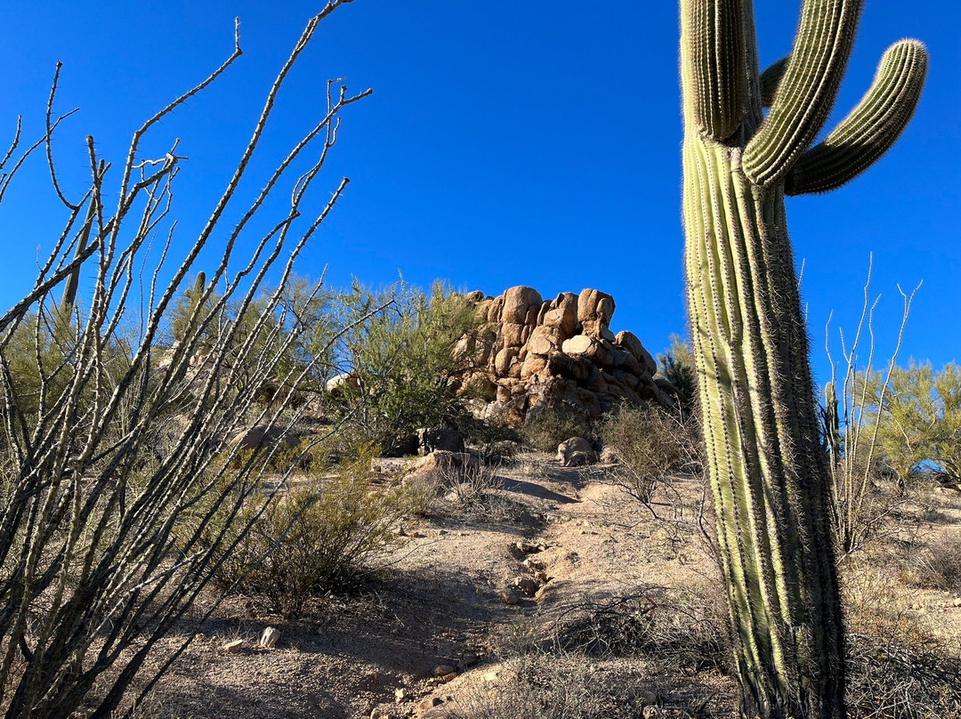 Red Hills Visitor Center-图森必去景点