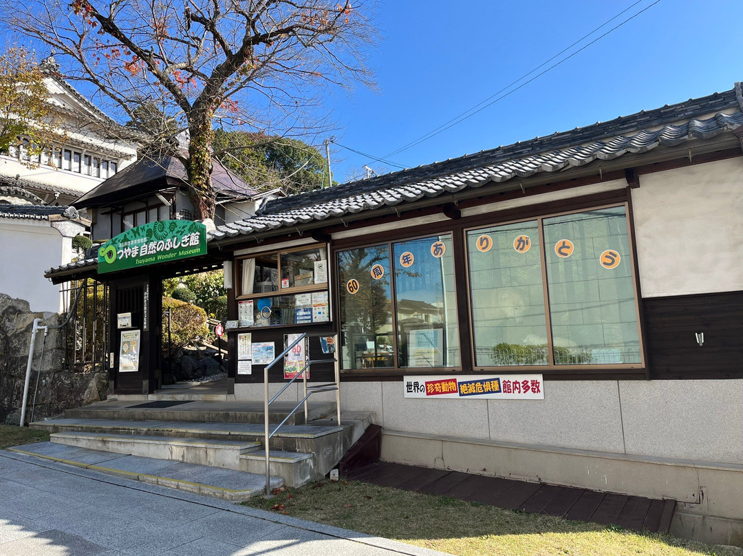 Tsuyama Nature & Mystery Museum-津山市必去景点