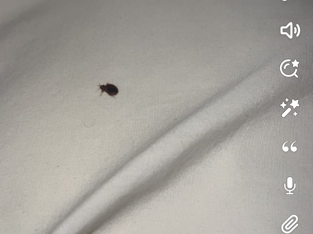 Country Hearth Inn & Suites Edwardsville St. Louis主图