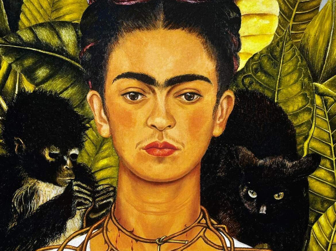 Museo Frida Kahlo景点图片
