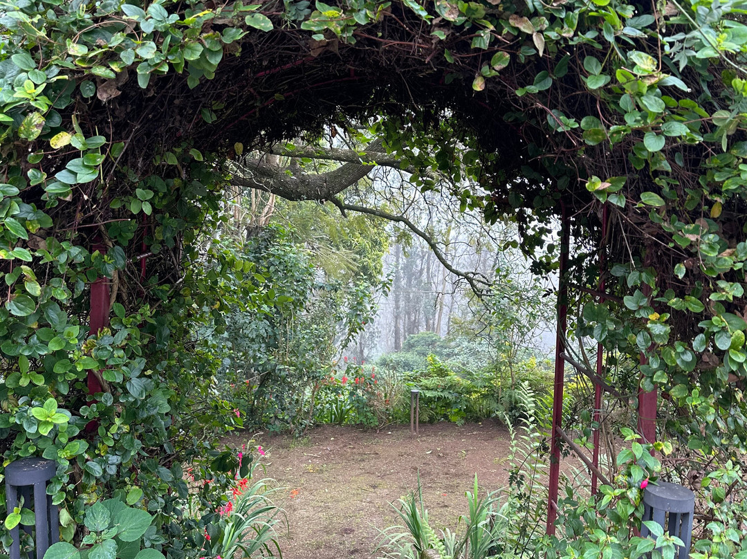 Milford Coonoor主图