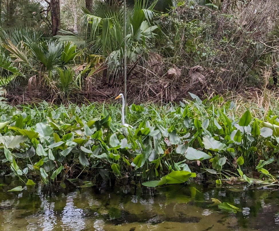 Get Up And Go Kayaking - Rock Springs-Apopka必去景点