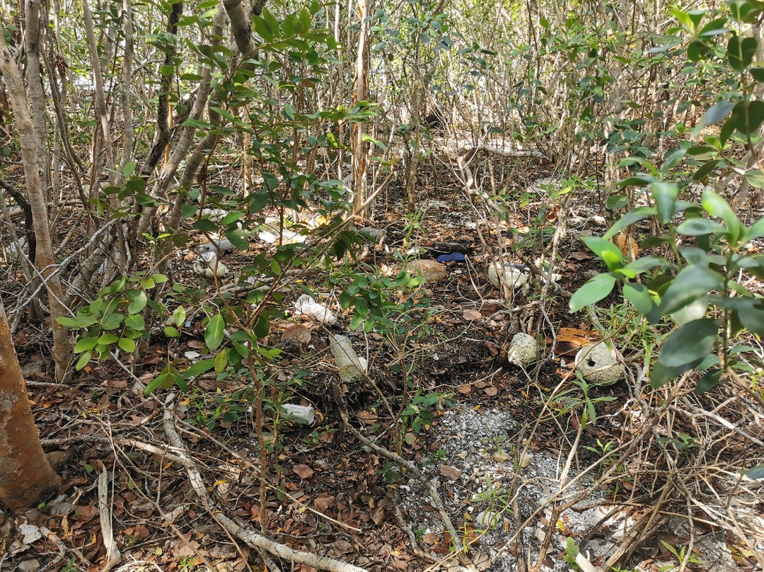 Adams Key-比斯坎国家公园必去景点