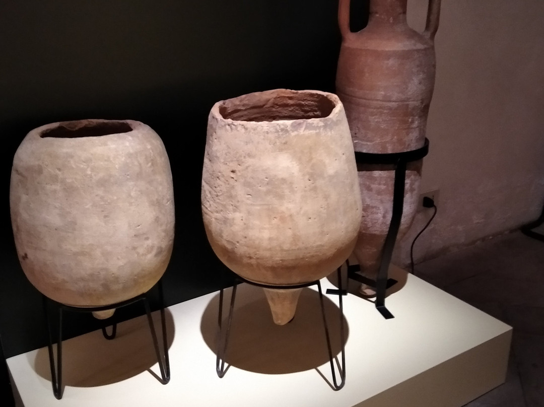 Museo Archeologico Nazionale della Lomellina景点图片