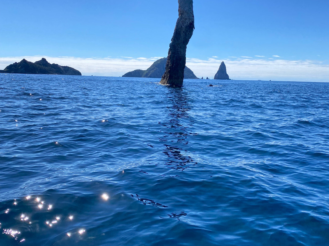Coromandel Ocean Adventures景点图片