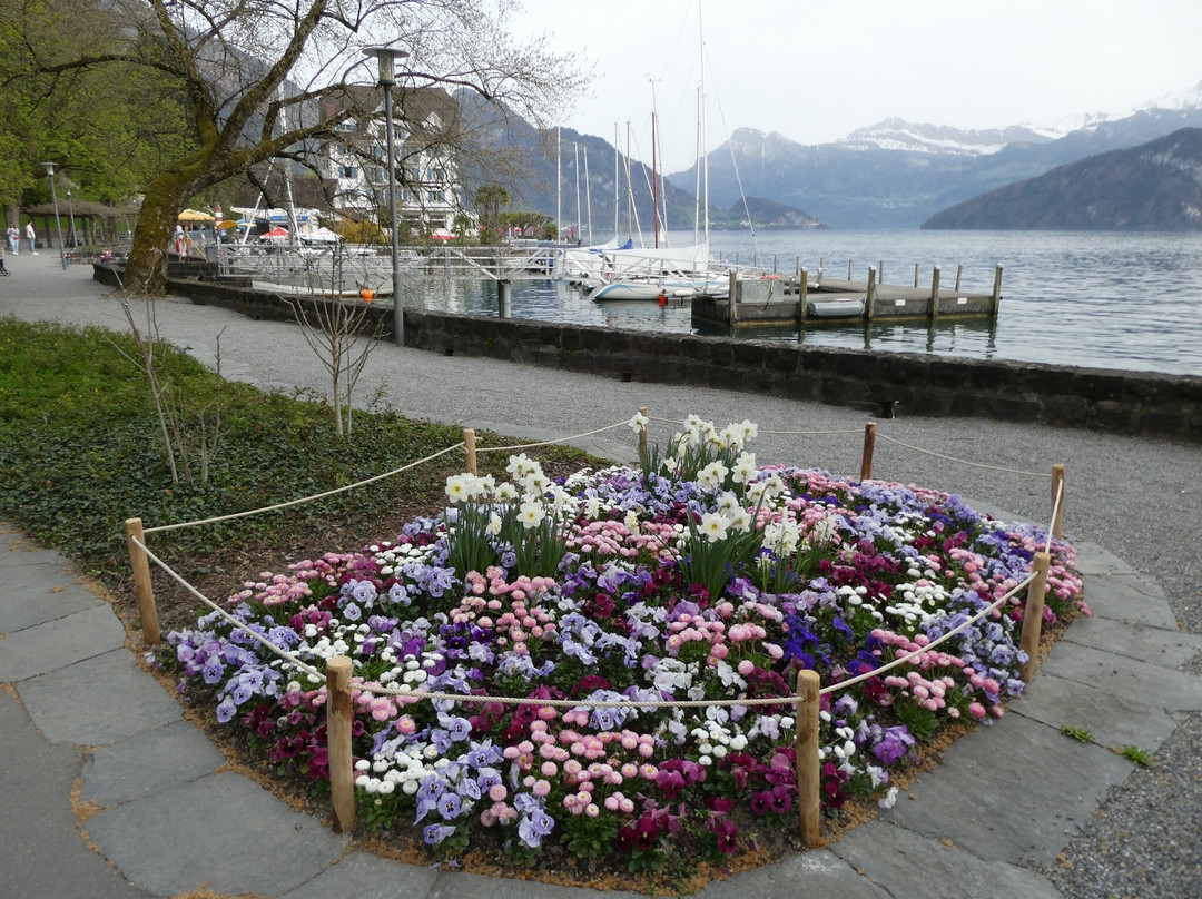 Uferpromenade Weggis-韦吉斯必去景点