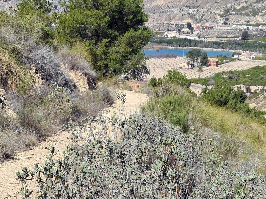 Mirador Del Azud De Ojós-Ojos必去景点
