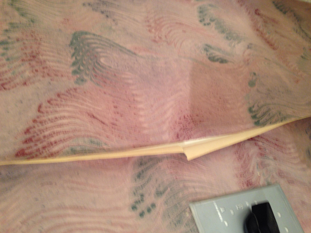 Red Carpet Inn & Suites Danville