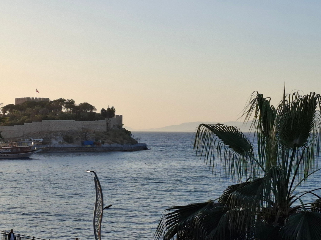 伊思索瓦利岛酒店主图