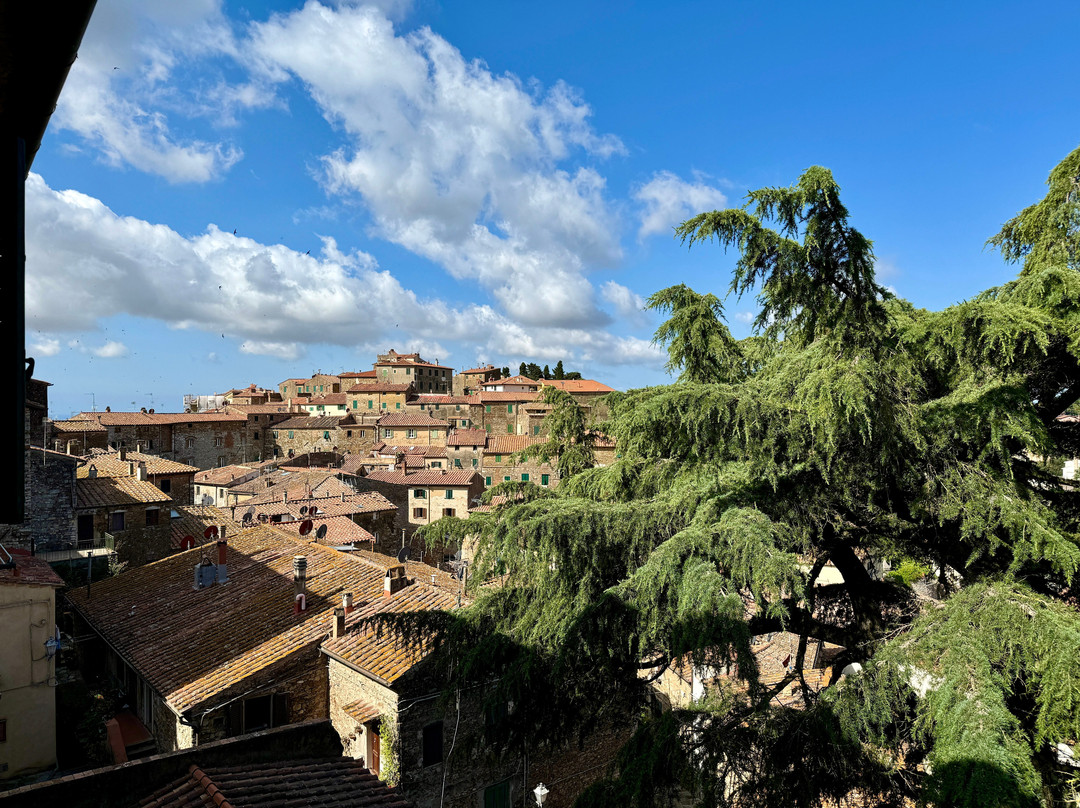 CIVICOUNO Campiglia